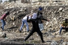 ידוי אבנים הפרות סדר שטחים פלסטינים
